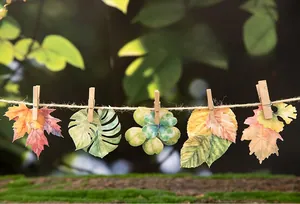 Artistic detail of botanical stickers clipped on rope with natural forest background