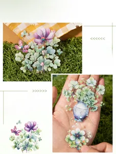 Detail of transparent floral stickers featuring double white ink printing and butterfly designs