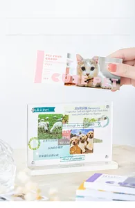 Détail d'un livre d'autocollants PET chat mignon montrant un livret décoratif de 30 feuilles
