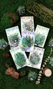Detail view of Fern Season PET stickers featuring nature motifs on forest moss background