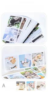 Détail d'un carnet de 90 autocollants washi avec motifs de pandas, chiens et chats