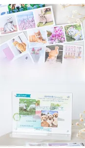 Détail de stickers washi animaux et fleurs appliqués sur un cadre photo en acrylique