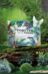Detail showing forest-style PET stickers with ferns and butterflies on mossy wood