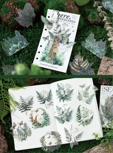 Macro detail of PET fern stickers and retro girl illustration on a moss background