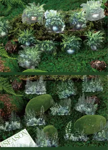 Detail of translucent PET fern stickers with forest moss and 20pcs natural greenery designs