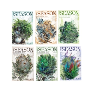 Fern series vintage PET plant stickers set for DIY journals featuring retro botanical art