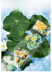 Detail of die-cut lotus PET tape with summer water lily patterns for scrapbooking