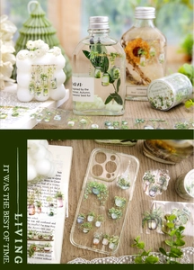 Nastro adesivo PET decorativo con piante pensili su bottiglie di vetro e cover per cellulari