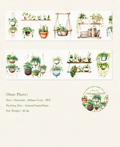 Dettaglio del nastro adesivo PET decorativo con piante acquerello appese e succulente
