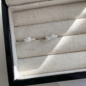 Dettaglio di orecchini a stella in argento S925 con zircone in un portagioie