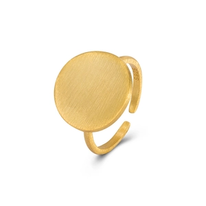 Minimalist S925 sterling silver golden open ring with a brushed circular geometric design