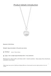 Detail der S925 Silber-Apfelkette mit 40cm Kette und einem Gewicht von 3,46g