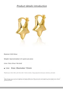 Detail view of S925 sterling silver star hoop earrings with 18k gold plating
