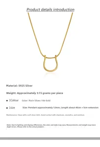 Détails du collier fer à cheval en argent S925 avec poids et longueur de chaîne fournis