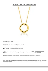 Detail of S925 silver 18k gold plated necklace with 13mm irregular round pendant