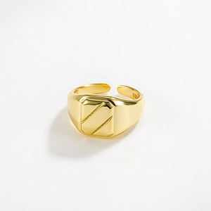 Anello Sigillo Geometrico Minimalista in Argento Sterling S925 per Donna Vintage a Righe Anello Aperto Regolabile Gioielli Stile INS