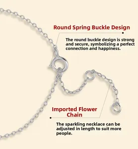Detailed view of S925 sterling silver chain with adjustable spring clasp and extension tail