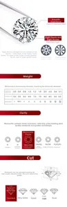 Moissanite clarity and cut chart with detailed size to weight ratio for silver necklaces