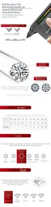 S925 zilveren moissanite armband diamant schaal met D kleur en 4C kwaliteitsnormen