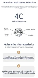 Λήψη macro πέτρας Moissanite που δείχνει ποιότητα 4C και λεπτομέρειες λάμψης 2,5x