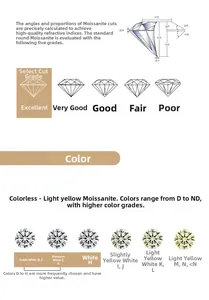Moissanite cut and color grading chart for S925 sterling silver earrings detail guide