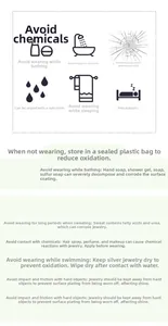 Maintenance guide for S925 sterling silver necklace showing storage and care instructions
