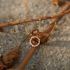 Collana con Ciondolo a Cerchio in Argento Sterling 925 Placcato Oro Zirconia Catena da Clavicola per Donna Gioielli Geometrici
