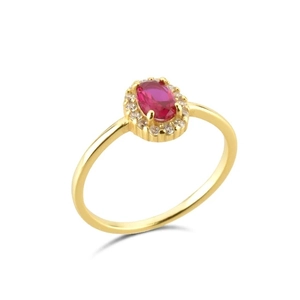 Elegant s925 silver gold plated ring with oval red zircon halo and white crystals