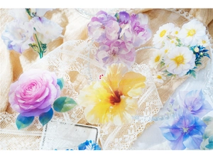 Pegatinas de PET florales con rosas y margaritas en acuarela para scrapbooking
