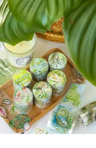 Close-up of 6 decorative PET tapes with botanical illustrations for DIY scrapbooking