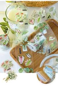 Detailed close-up of PET green plant stickers with botanical illustrations and text
