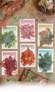 Close-up of vintage nature-themed PET stickers featuring autumn branches and leaves