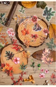 Detailed view of botanical PET stickers with autumn leaves and pine branches for journaling