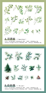 Detail of PET botanical stickers featuring Search Birch and Fir Cold tree branch themes