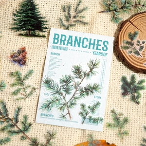 Realistic pine branches and cones PET stickers for DIY scrapbooking and crafts