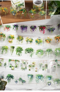 Detail of transparent PET tape featuring hand-painted hanging basket plants and succulents