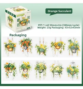 Detail view of orange succulent PET tape with watercolor hanging basket illustrations