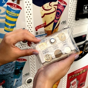 Portable transparent PVC coin holder for Japanese yen coins with divider organizer