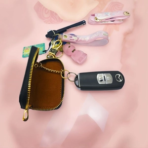 Detailed view of a black leather car key pouch with gold zipper and inner metal ring