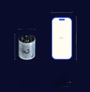 Comparaison de taille détaillée du ruban PET papillon à côté d'un modèle iPhone 15
