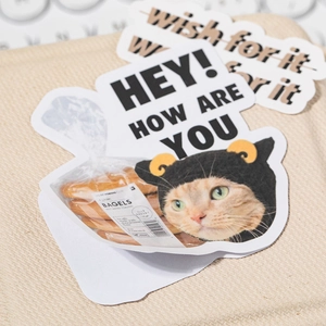 Cute orange cat die-cut sticker set for DIY scrapbooking with HEY! HOW ARE YOU text