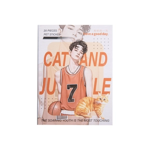 Autocollants transparents PET CAT AND JUNGLE garçon et chat pour décoration scrapbooking
