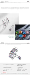 Détails macro de bague en argent S925 avec zircons arc-en-ciel éclatants sur deux rangs
