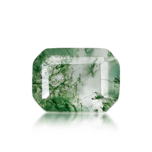 Emerald cut natural green moss agate stone with translucent mossy inclusions on white background