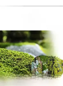 Gros plan sur la bague en agate mousse verte taille coussin avec accents de diamants