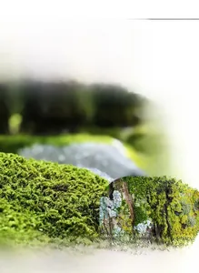 Detailed close-up of natural green moss agate stones set in a S925 silver ring band
