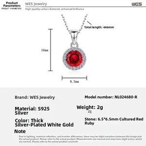 Spécifications détaillées du collier en argent S925 avec pendentif rubis de laboratoire