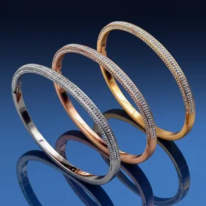 Bracelet Jonc à Charnière en Acier Inoxydable de Luxe pour Femme Incrusté de Double Rangée de Strass Bijoux de Mode
