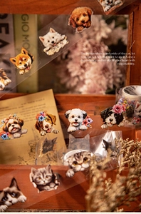 Close-up of PET tape with hand-drawn pet illustrations on vintage wood box decor