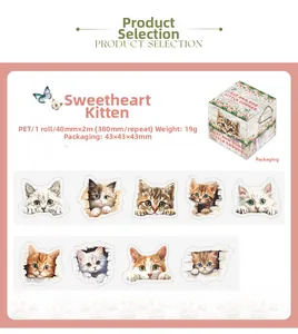 Detail of PET decorative tape with cute cartoon cat patterns and packaging dimensions